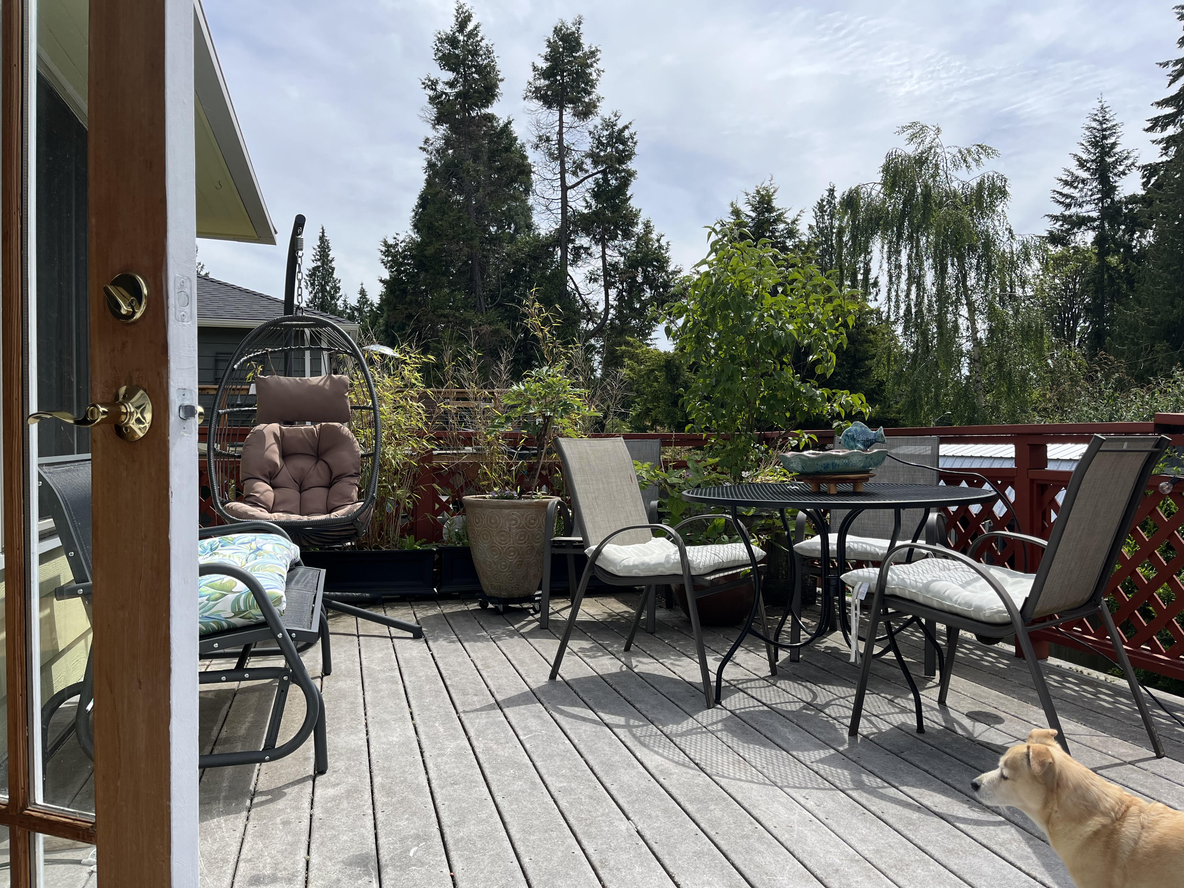 20240613-233119175-84f0-86ed0b2e7058_House deck 1.jpg